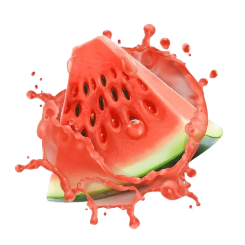 جشنواره تابستانه